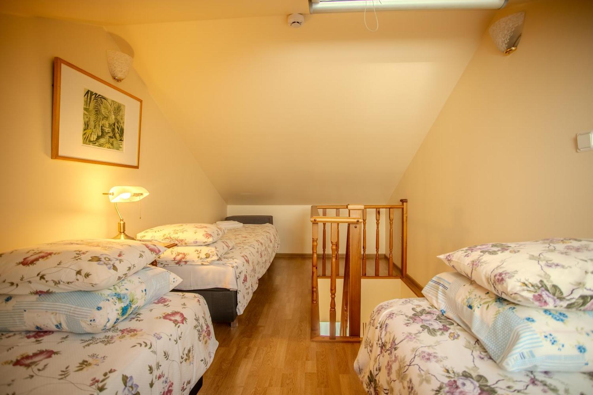 Nina Kordon Guesthouse Alatskivi Екстериор снимка